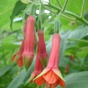 Picasa 2.7